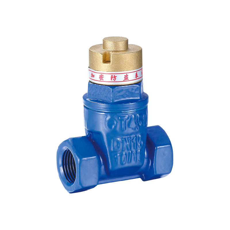 YH-1002 Magnetic Anti-Furtum Nodular Caste Iron Portae Valve