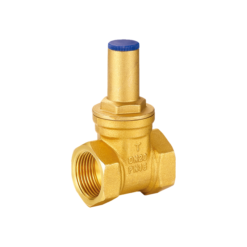 YH-102 Mechanica aenea porta Valve